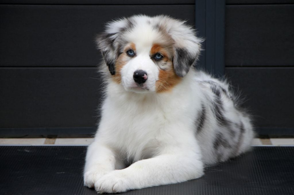 Arbane réserve précieuse dite "Alma"