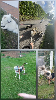 Elevage du village Raimbourg