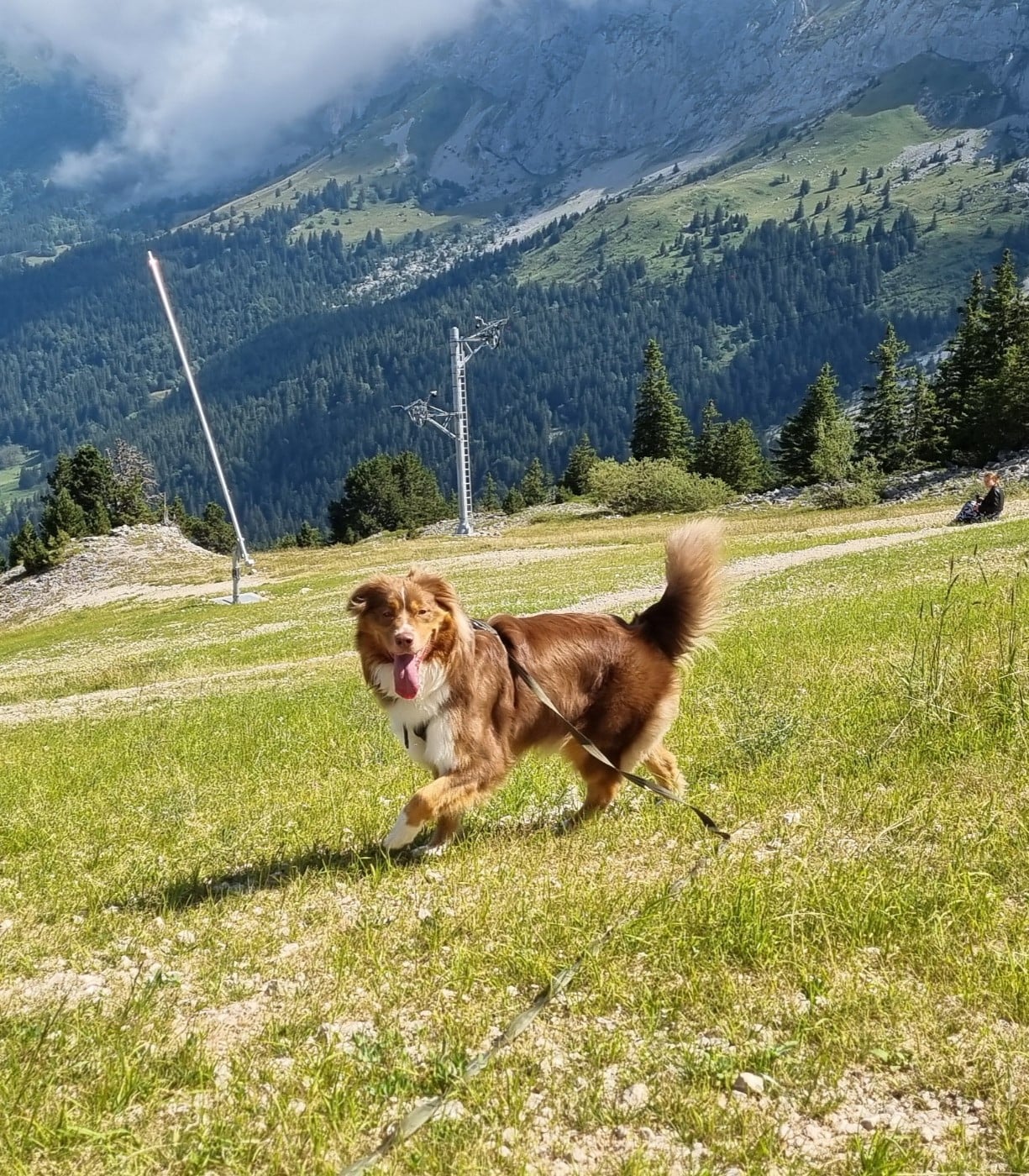 Publication : Sur Les Traces De Texas