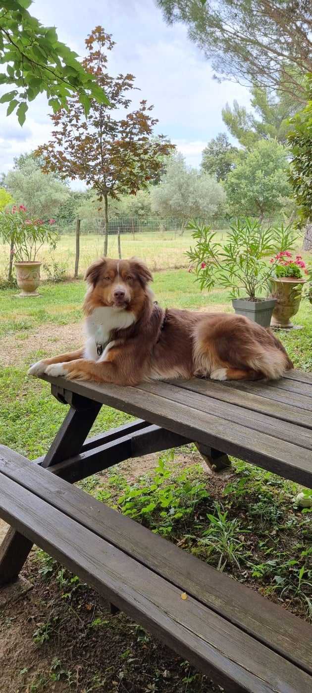 Publication : Sur Les Traces De Texas