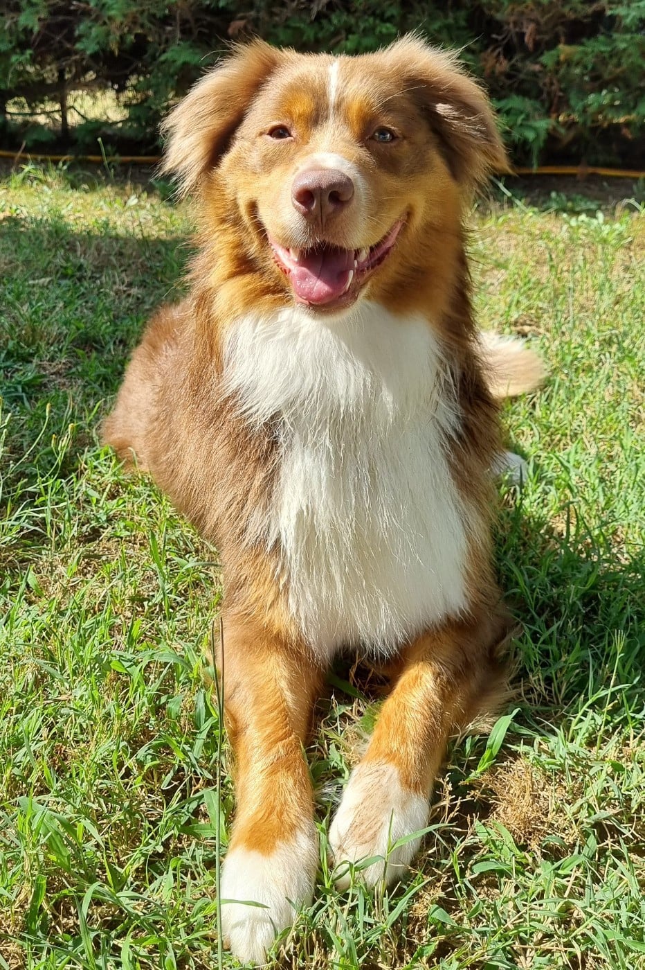 Publication : Sur Les Traces De Texas