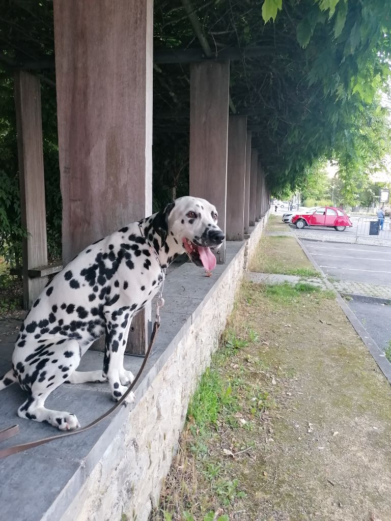 Publication : Du Cercle De Lallybrock