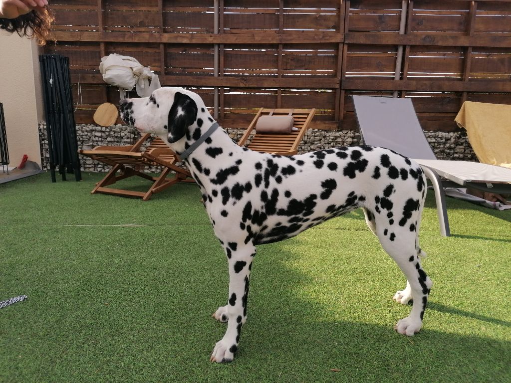 Publication : Du Cercle De Lallybrock