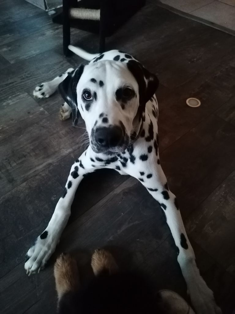 Publication : Du Cercle De Lallybrock