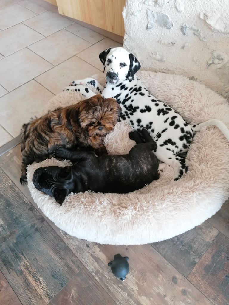 Publication : Du Cercle De Lallybrock