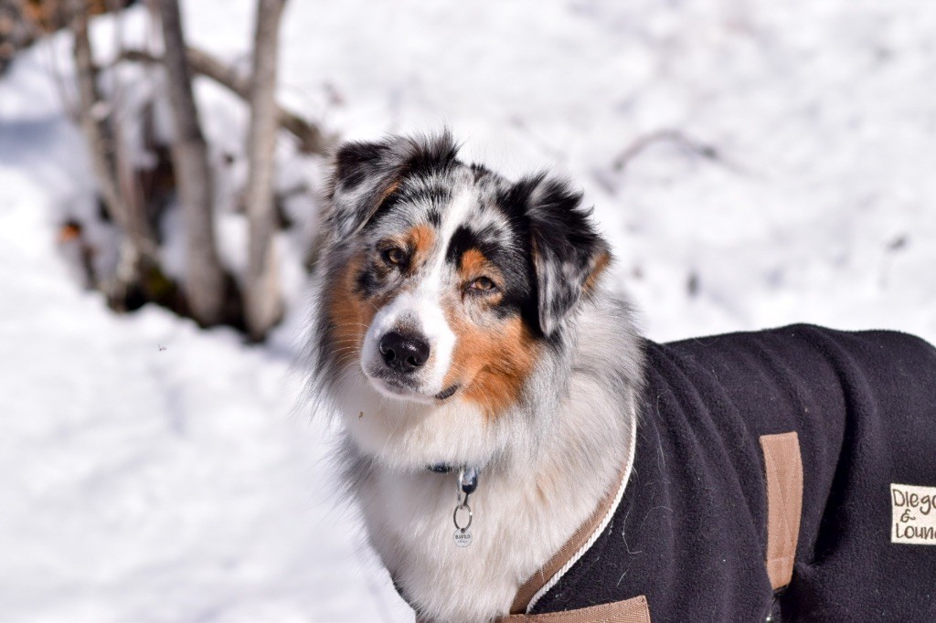 Tempete dit thalys (Sans Affixe)