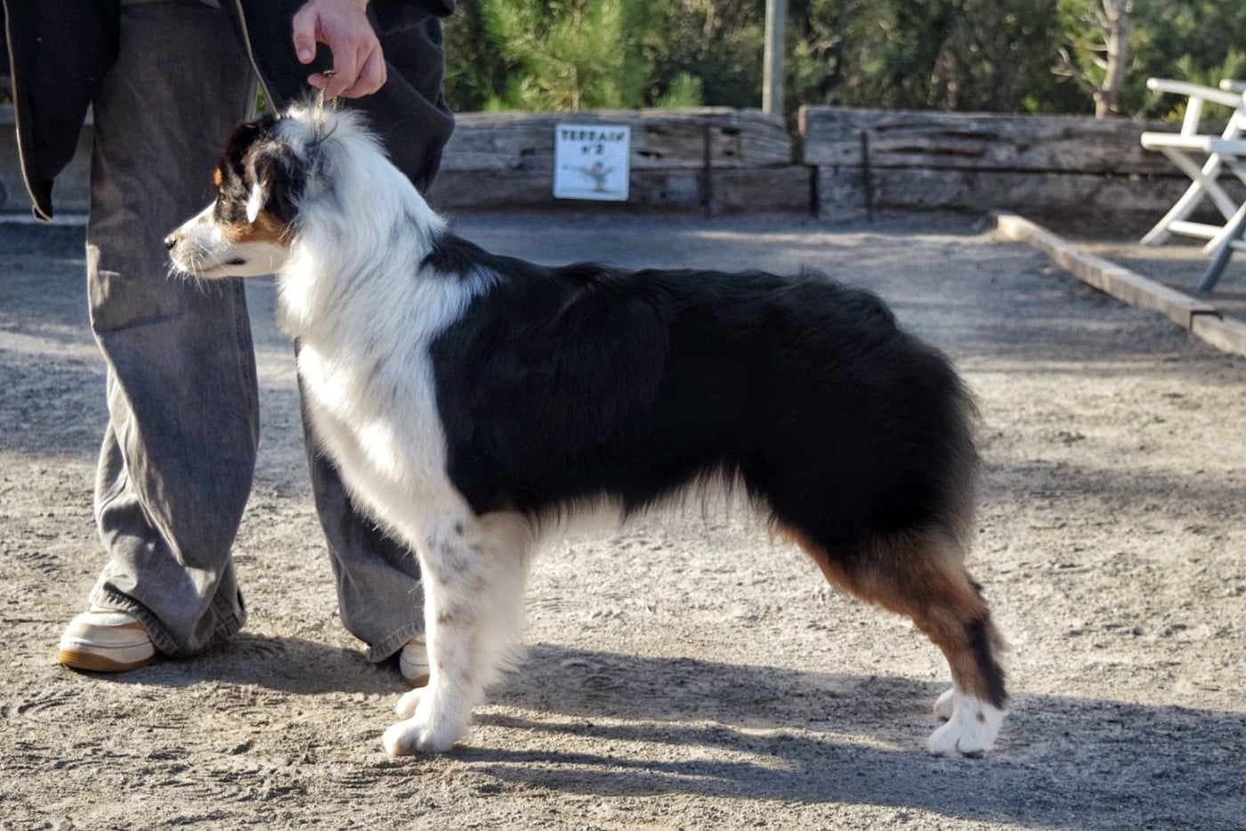 Aloha bonnie De La Contrée De Léonidas