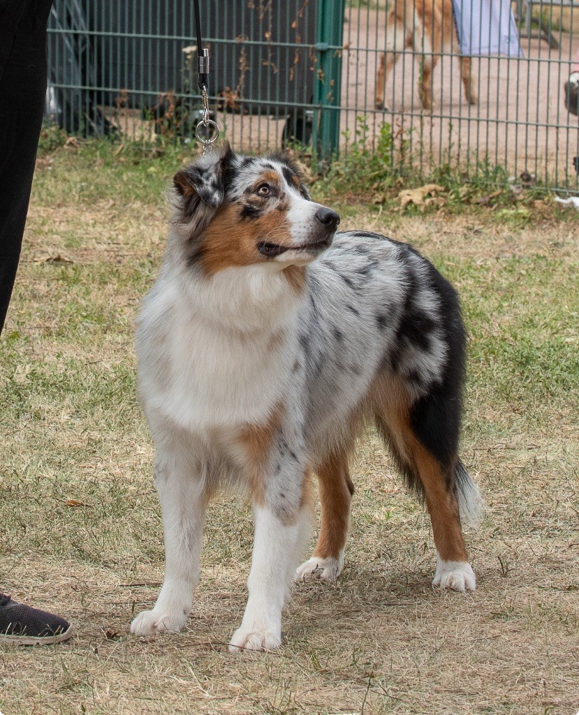Tempete dit thalys (Sans Affixe)