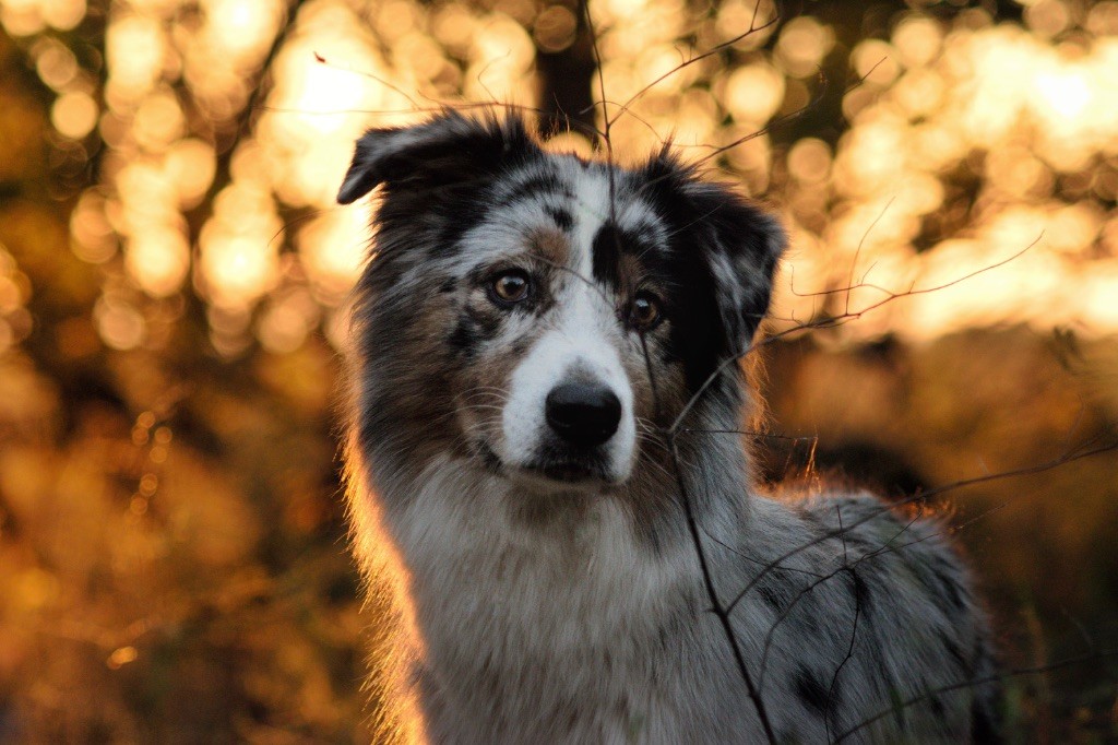 Tempete dit thalys (Sans Affixe)