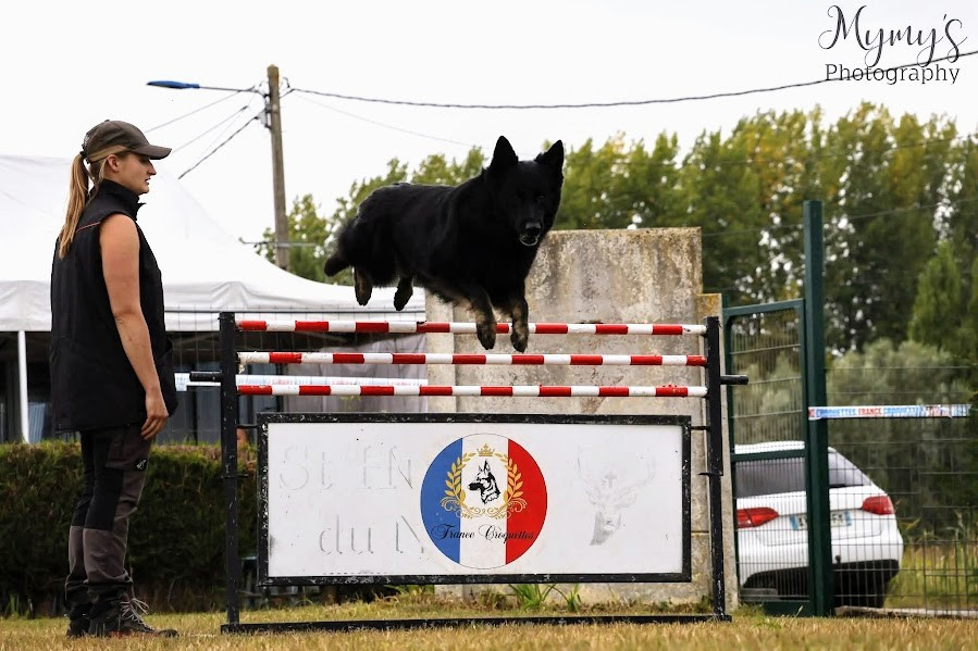 Royale du Val des Hurles Vent