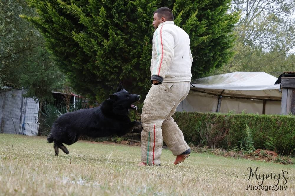 Royale du Val des Hurles Vent