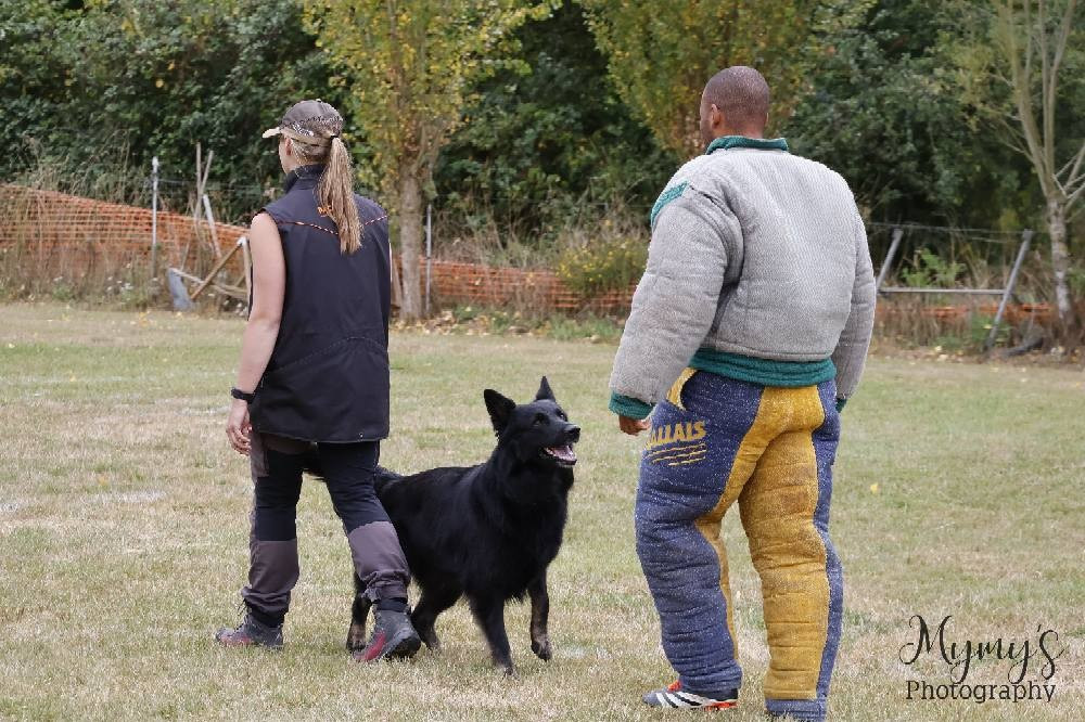 Royale du Val des Hurles Vent