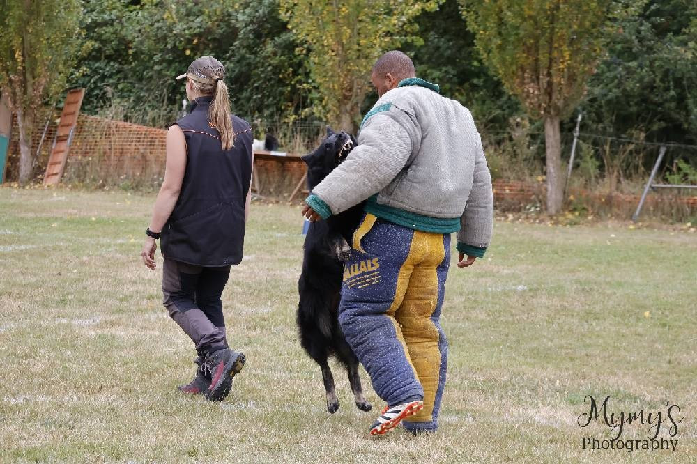 Royale du Val des Hurles Vent