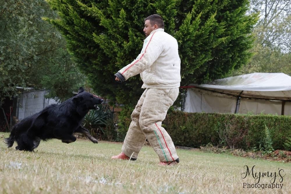 Royale du Val des Hurles Vent