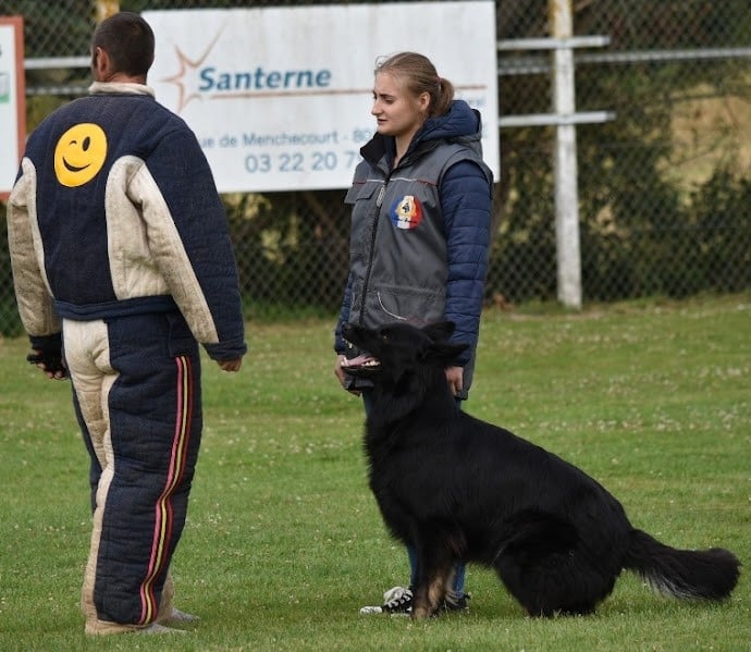 Royale du Val des Hurles Vent