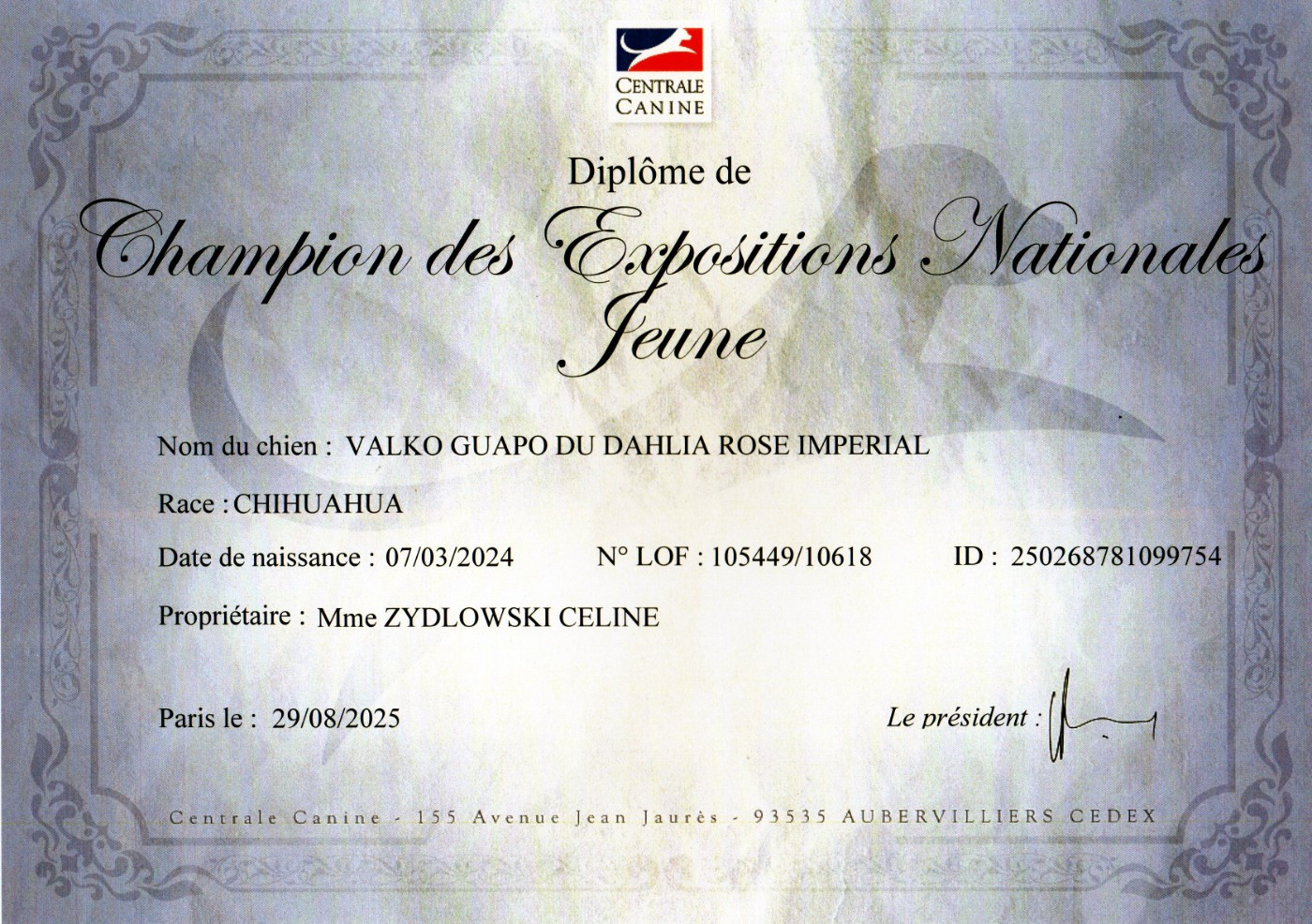 CH. Valko guapo Du Dahlia Rose Imperial