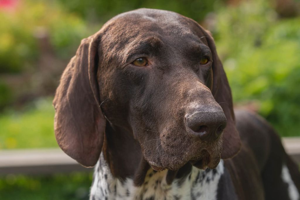 Publication : Nicolas Skimani