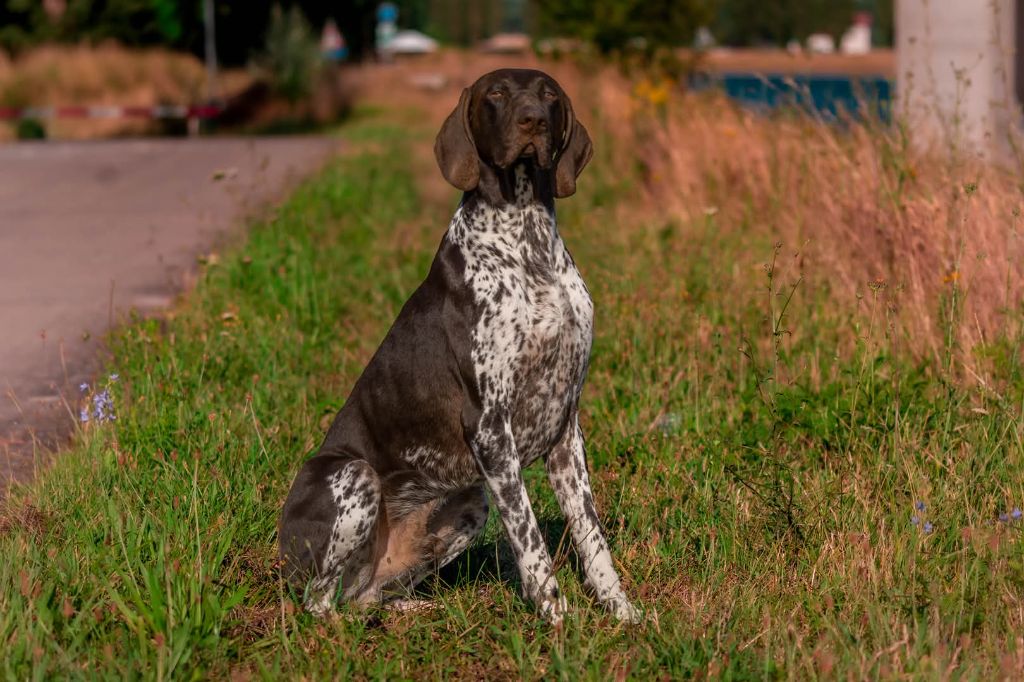 Publication : Nicolas Skimani