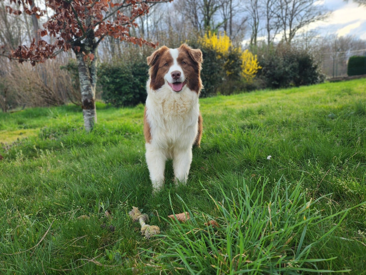 Agora Des Princes De Malibas