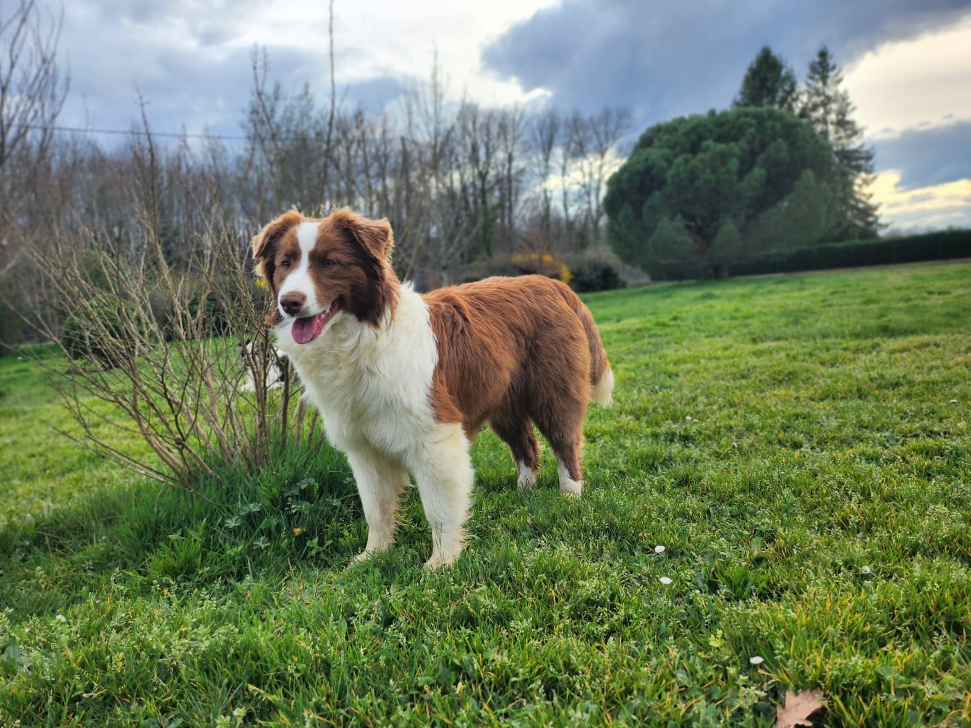 Agora Des Princes De Malibas