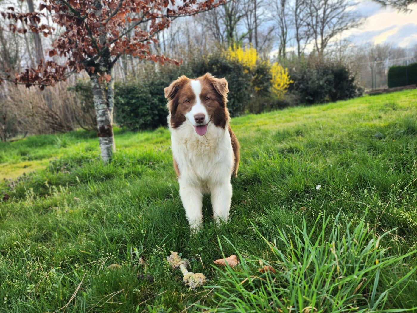 Agora Des Princes De Malibas