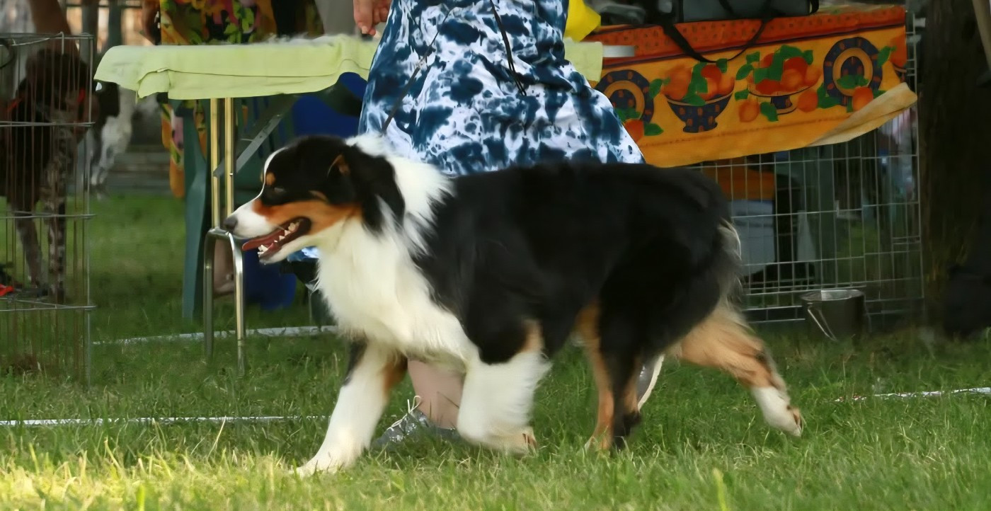 Sun paradise des Elfes du Dolmen - 4ème Excellent