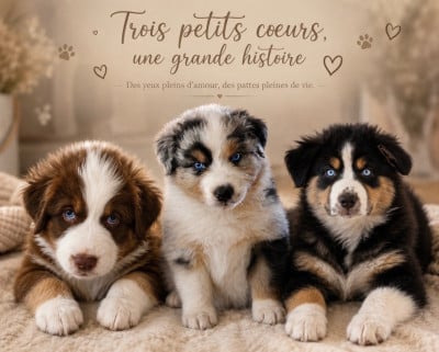 Aux Yeux Azurs