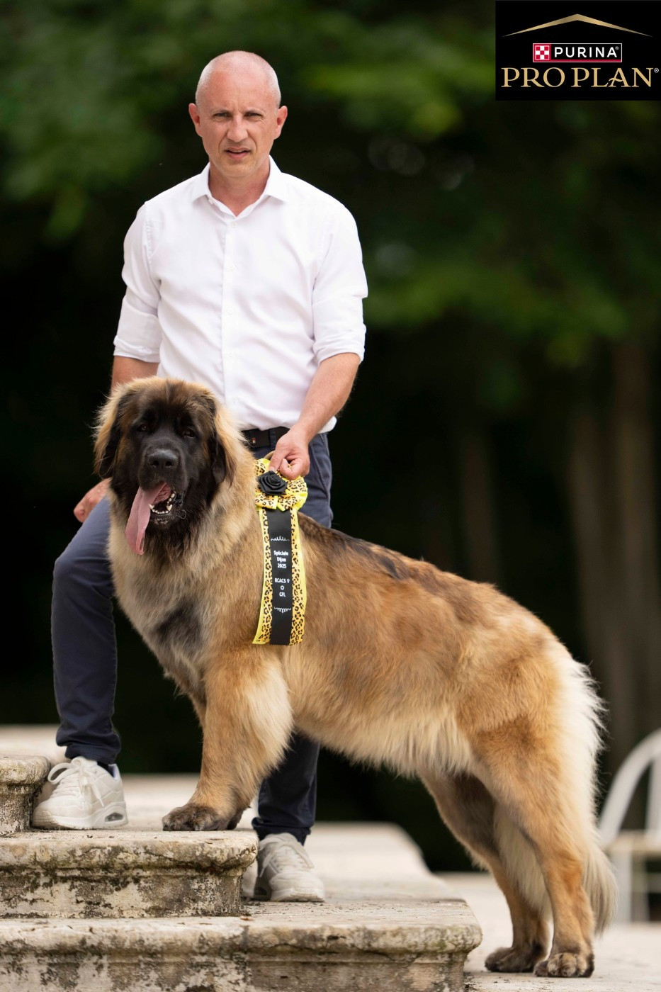 Uyeva du Moulin de Fontcastel - 1ERE EXCELLENT RCAS