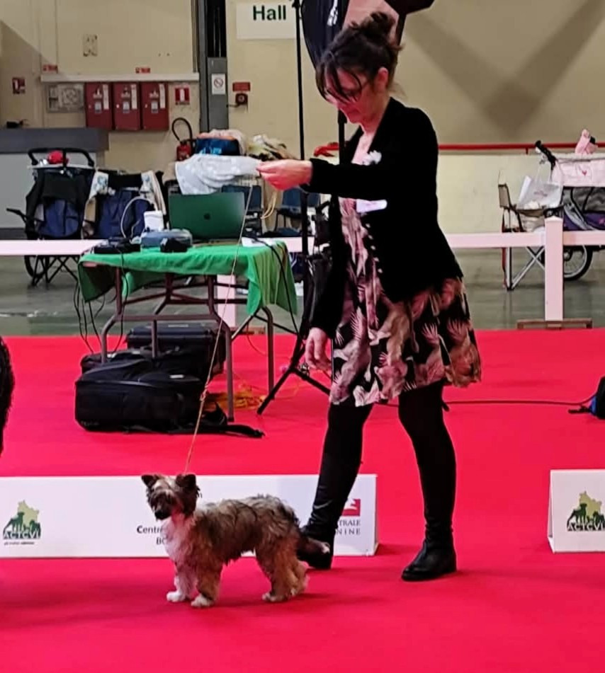 ARMANI Du Chateau Bataille - 1er Très prometteur -Meilleur baby