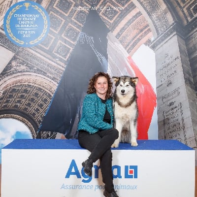 De L’Aurore De Skadi