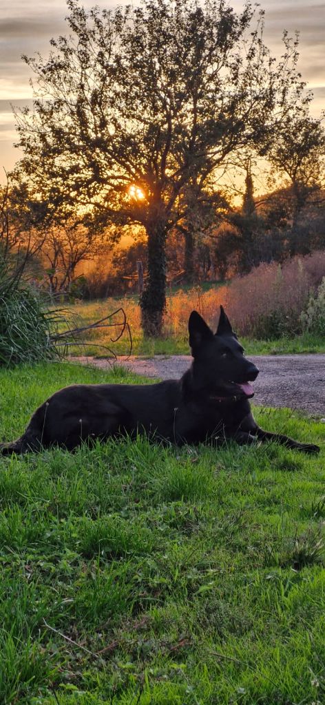 Una des trésors du maquis
