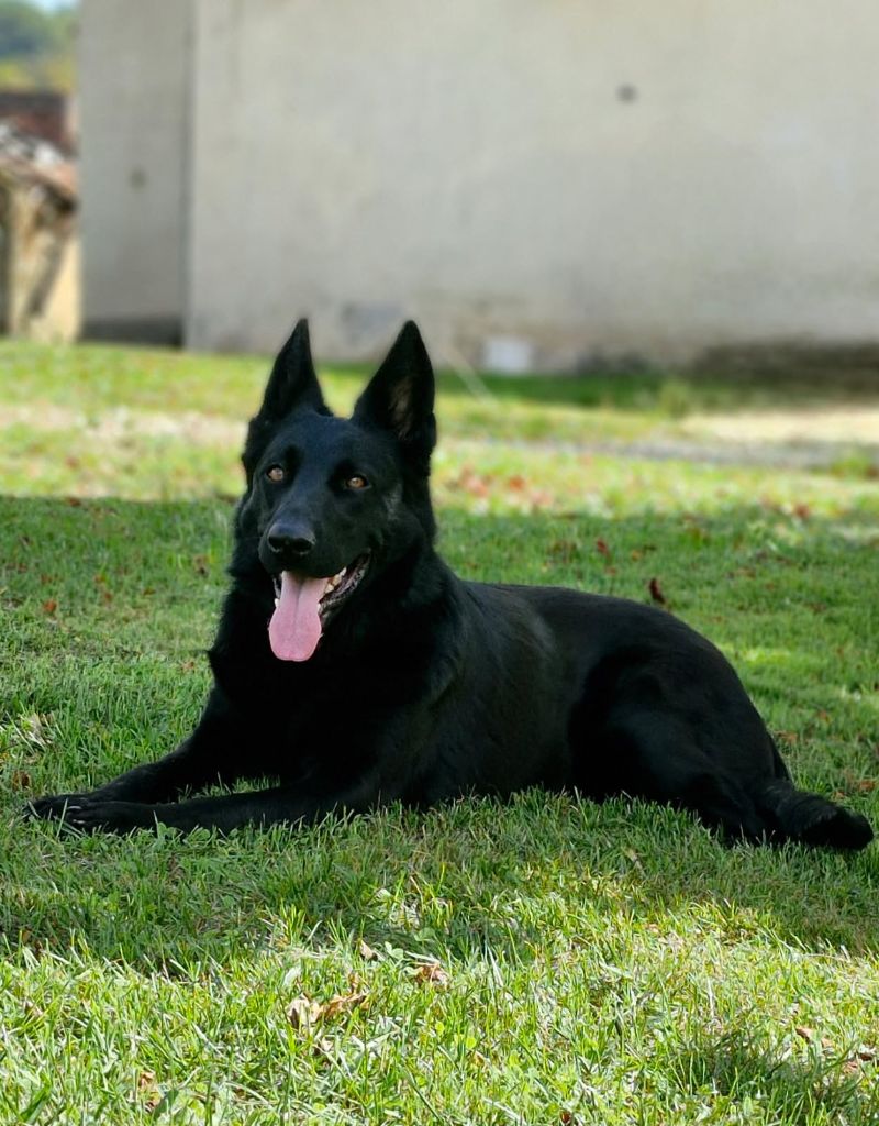 Una des trésors du maquis