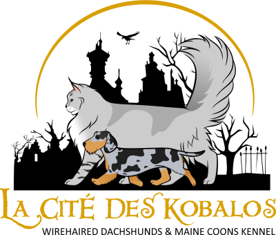 De La Cité Des Kobalos