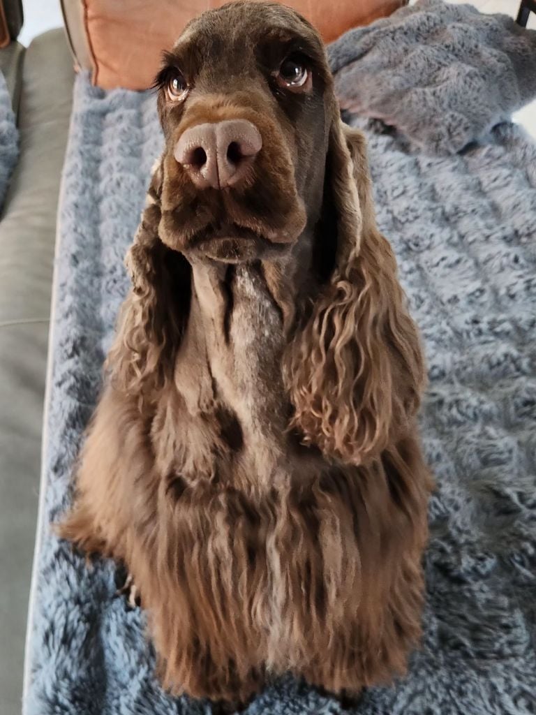 Socquette Of Bridget Story