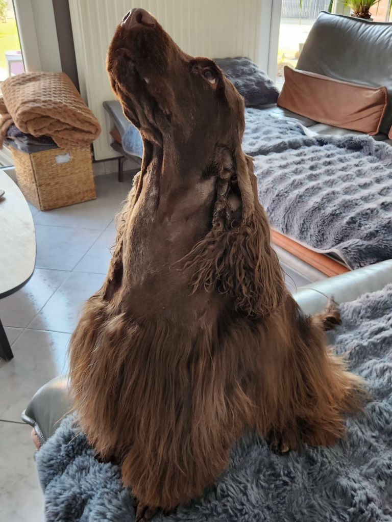 Socquette Of Bridget Story