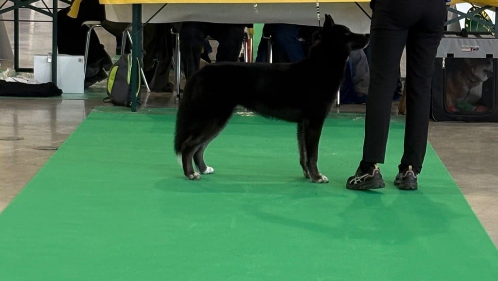 Publication : Laura Giudice