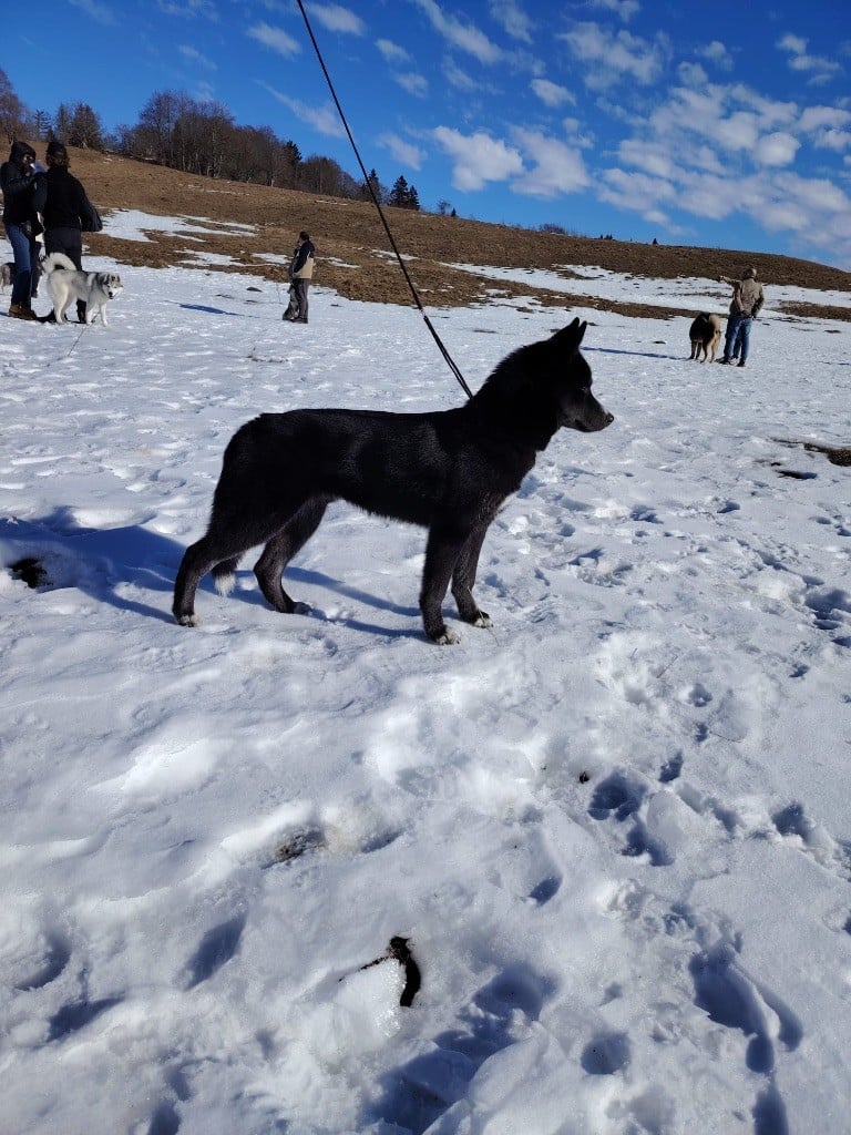 Publication : Laura Giudice