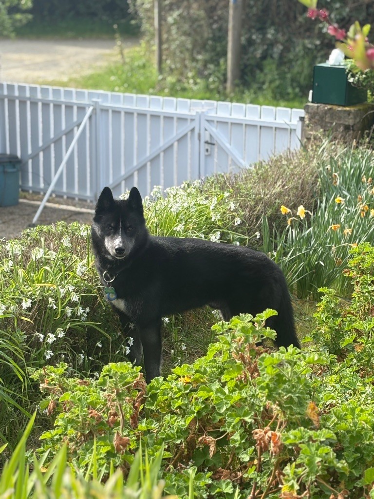 Publication : Laura Giudice