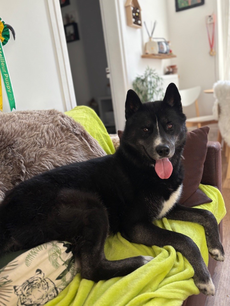 Publication : Laura Giudice