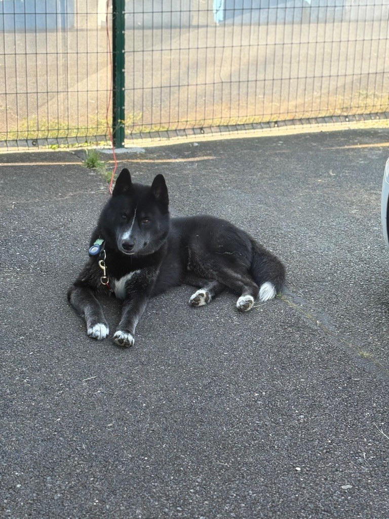 Publication : Laura Giudice