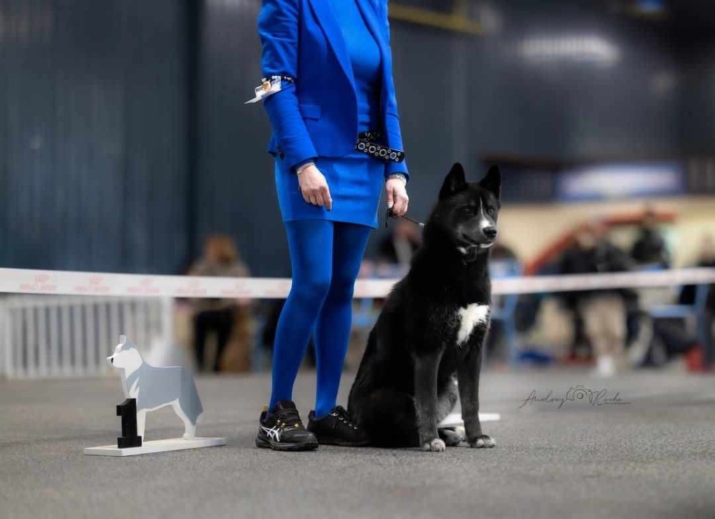 Publication : Laura Giudice