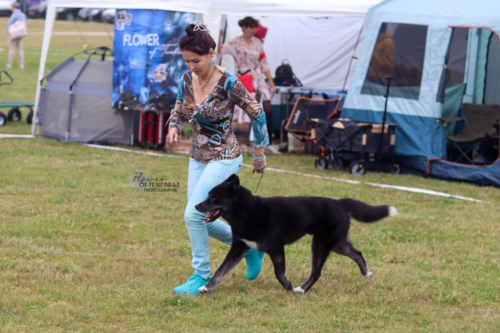 Publication : Laura Giudice