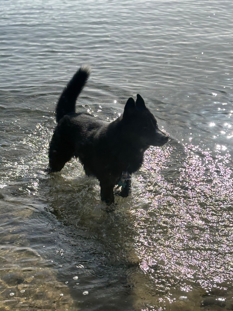 Publication : Laura Giudice