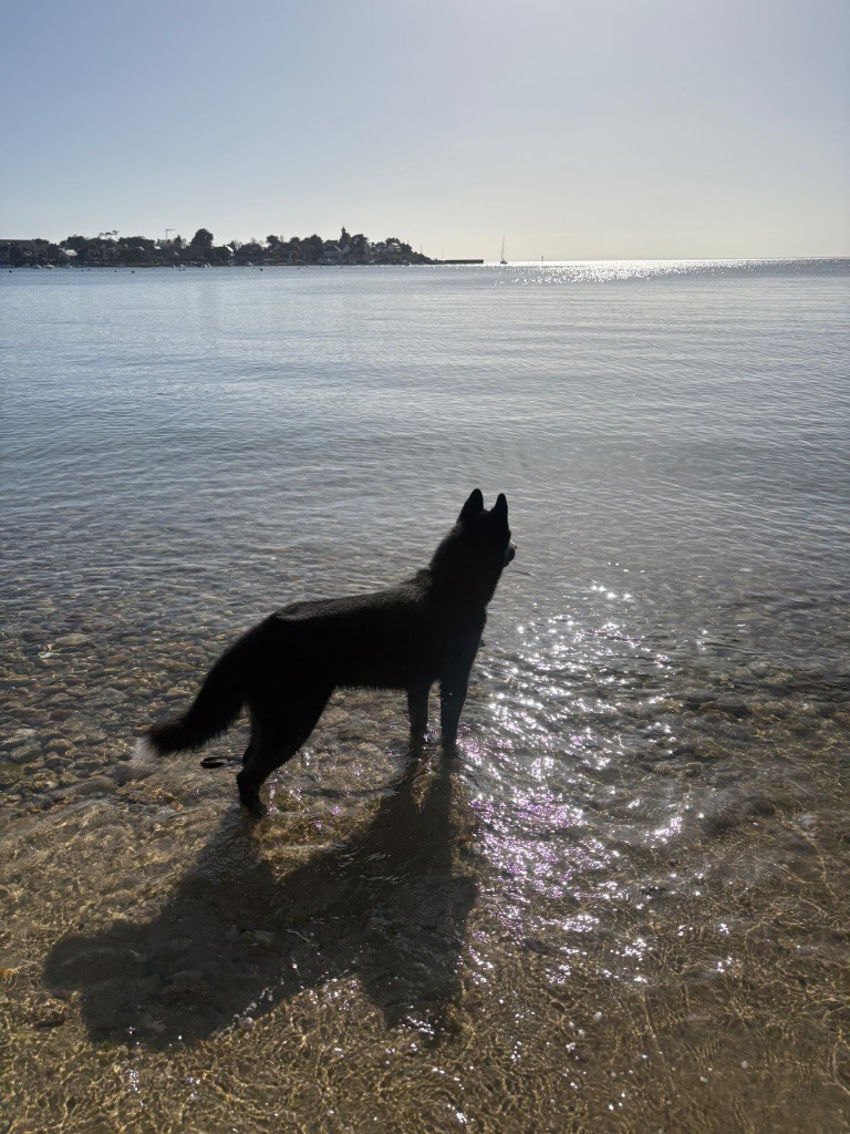 Publication : Laura Giudice