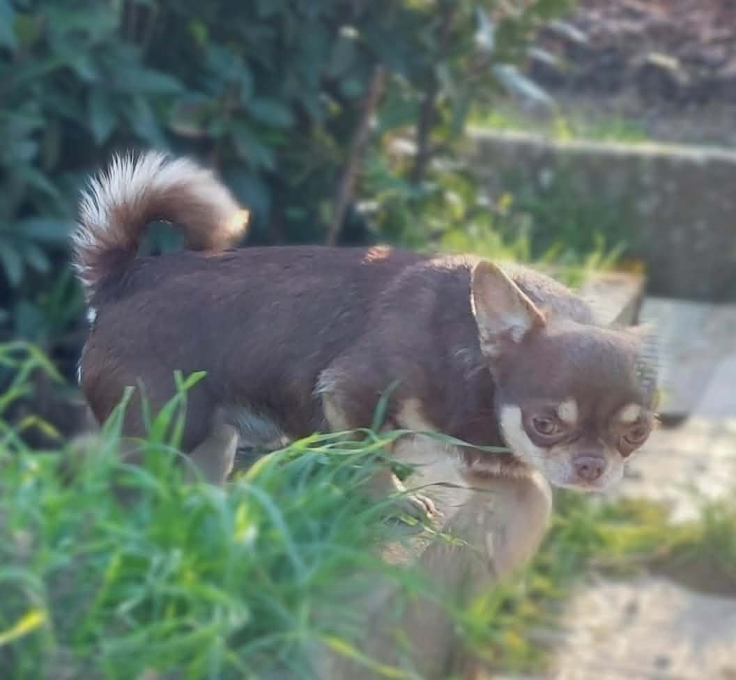 Publication : (Sans Affixe) Auteur : NELLY MORON