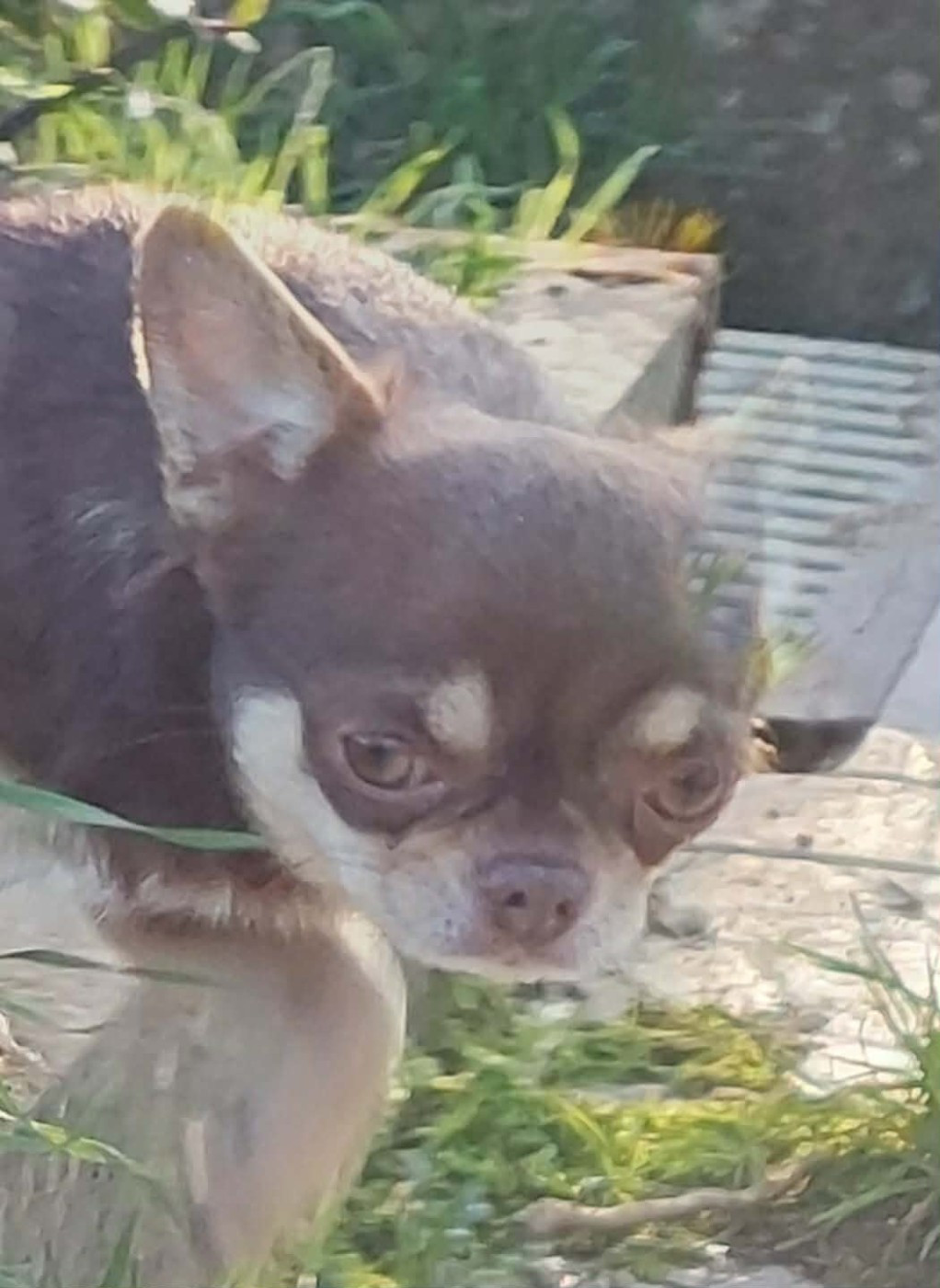 Publication : (Sans Affixe) Auteur : NELLY MORON