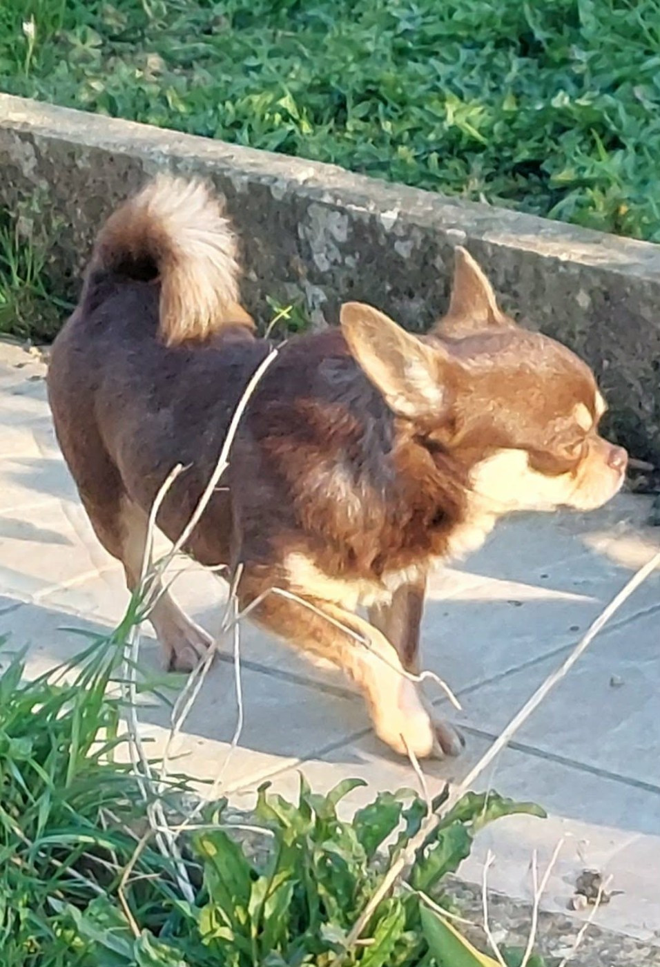 Publication : (Sans Affixe) Auteur : NELLY MORON