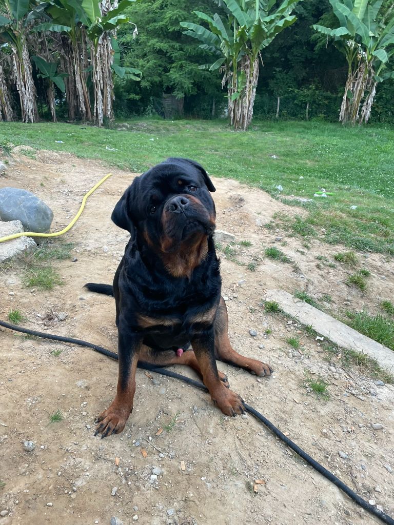 Ukka Vom Owane's Paradise