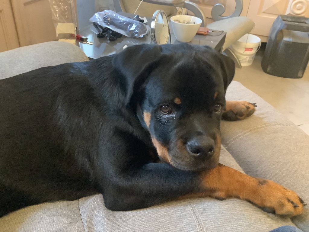 Ukka Vom Owane's Paradise