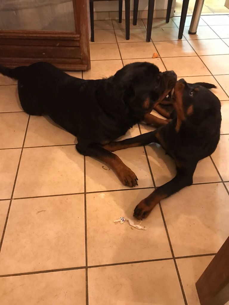 Venus Infinity Love Pei